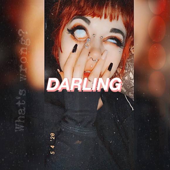 Meet your Posher, Sylvia - Picture 1 of 1